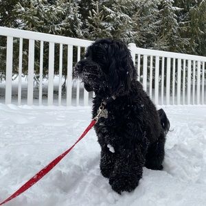 Meet your Posher, Kaitlyn